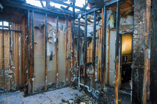 Professional Fire Damage Assessment technician working in Richwood, LA